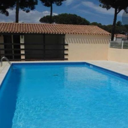 Apt T2/4 Pers/ Rez De Jardin\Pinede\Piscine Agde Eksteriør bilde